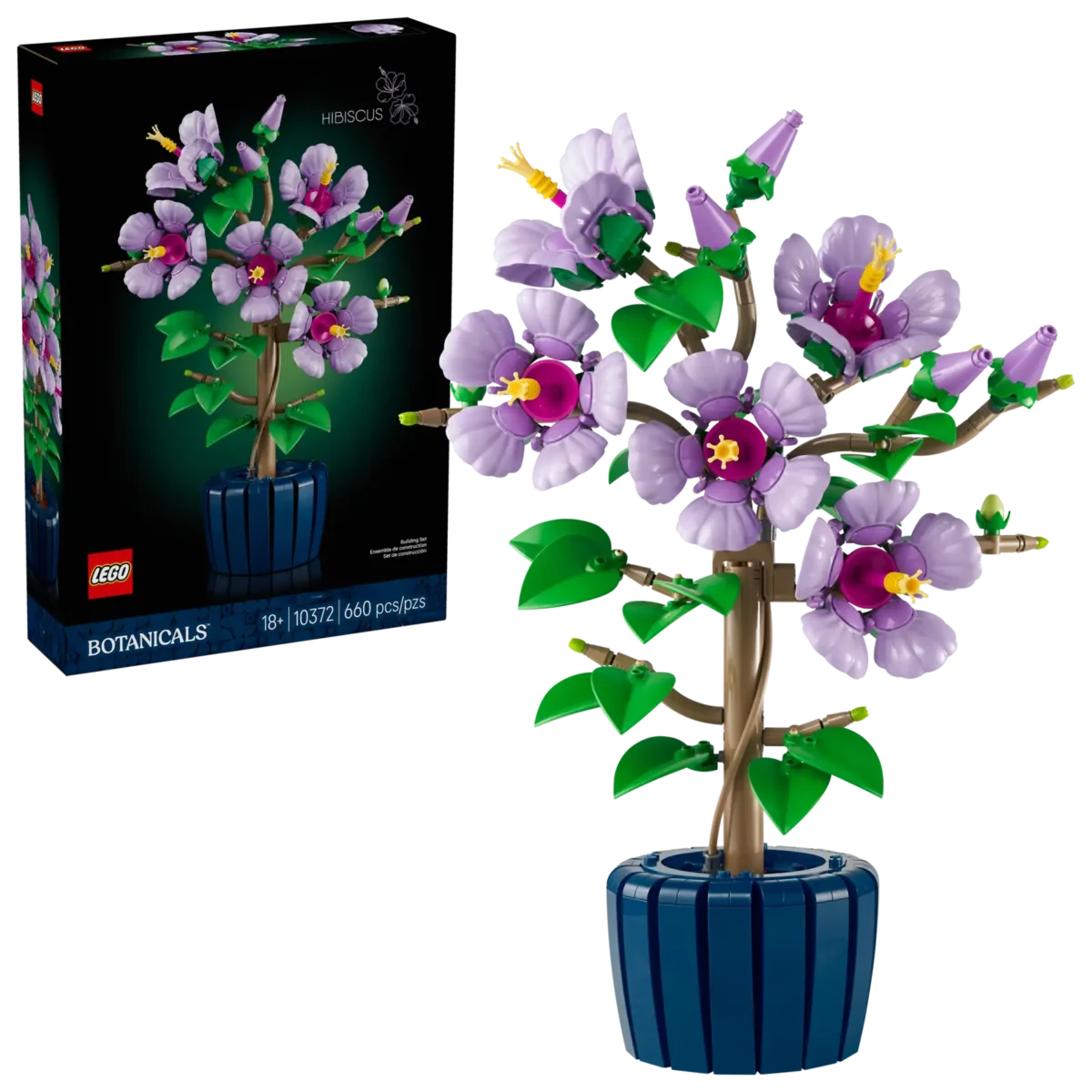 10372_boxprod_v39_en-gb