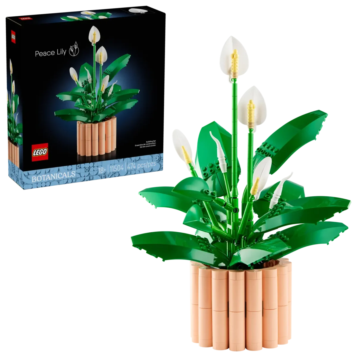 11504_boxprod_v39_en-gb